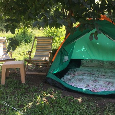 ホテル Camp Podkraj ヴィルパザル エクステリア 写真