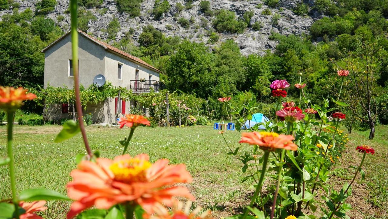 ホテル Camp Podkraj ヴィルパザル エクステリア 写真