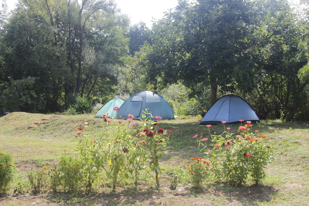 ホテル Camp Podkraj ヴィルパザル エクステリア 写真