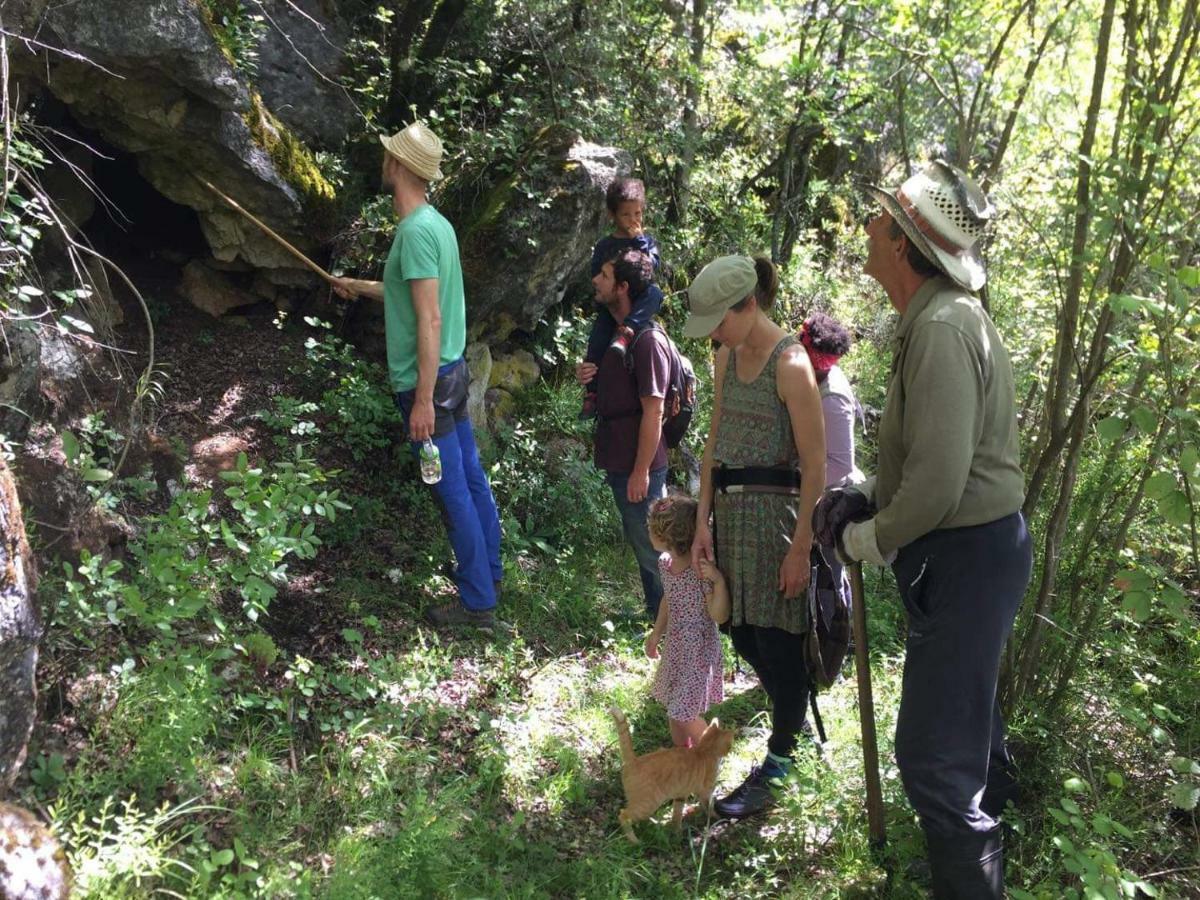 ホテル Camp Podkraj ヴィルパザル エクステリア 写真