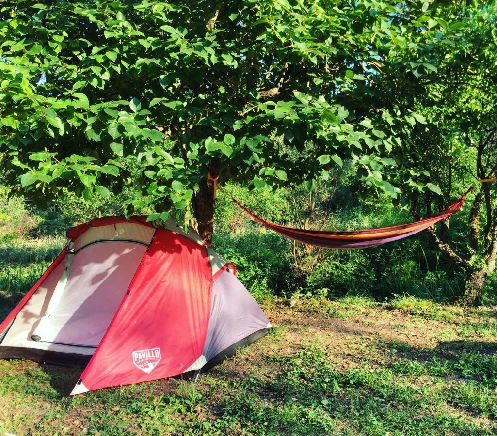 ホテル Camp Podkraj ヴィルパザル エクステリア 写真