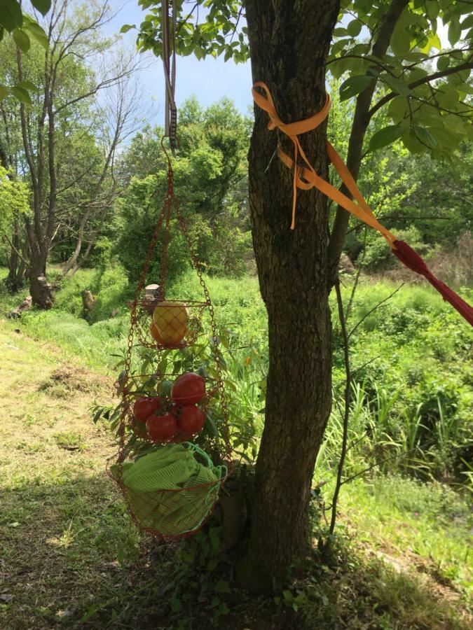 ホテル Camp Podkraj ヴィルパザル エクステリア 写真