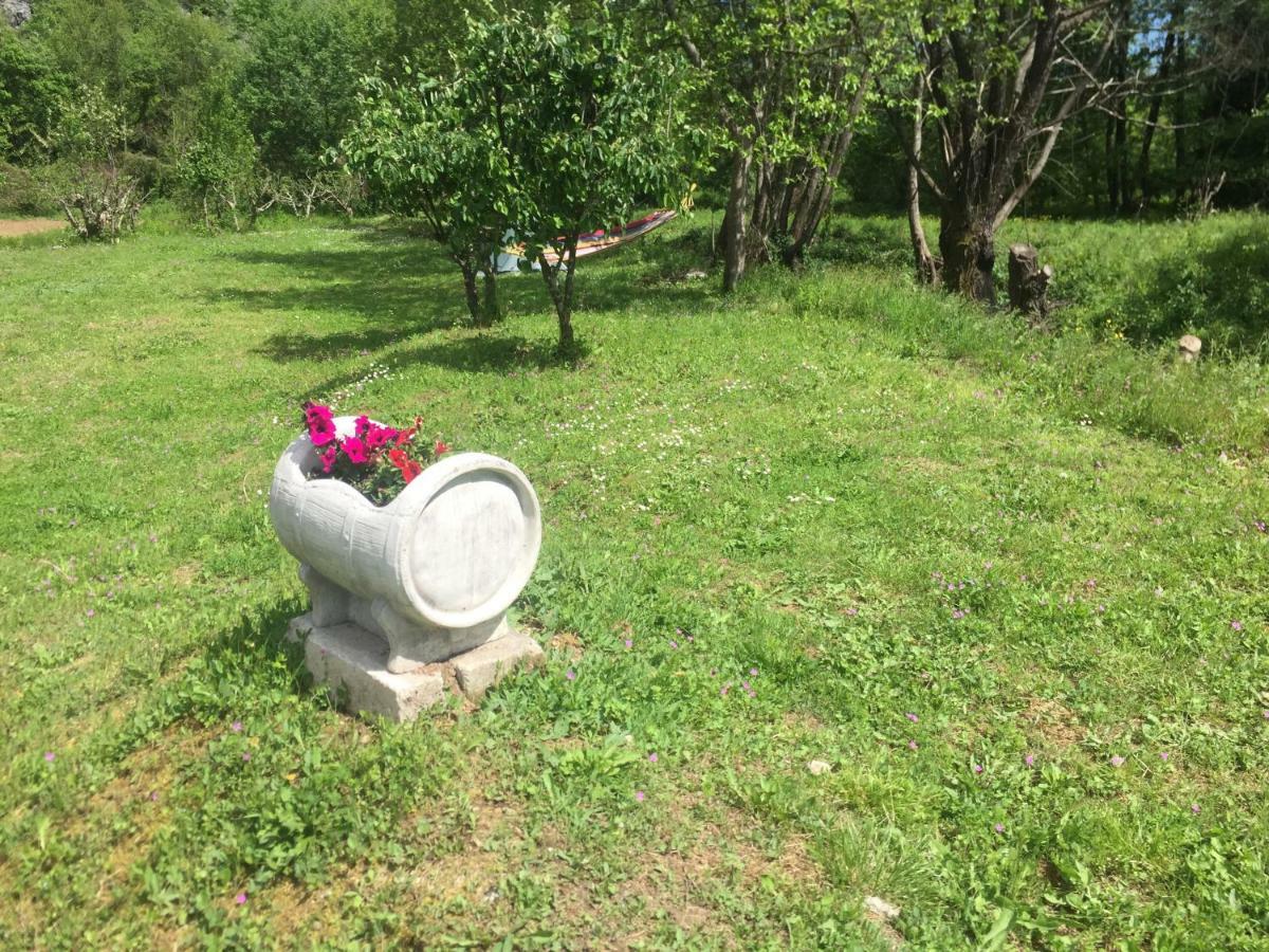 ホテル Camp Podkraj ヴィルパザル エクステリア 写真